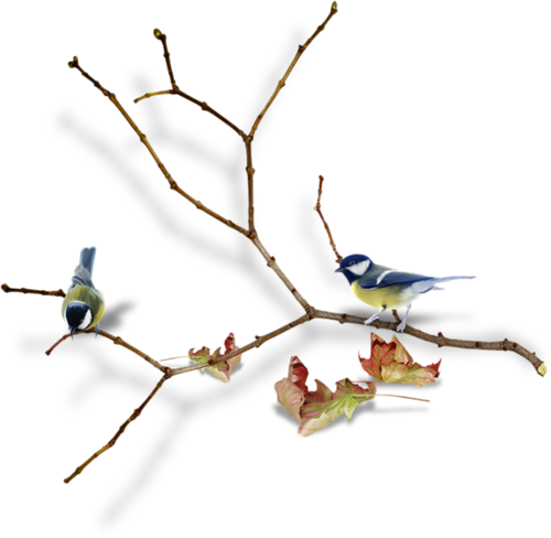 őszi állatok_34.png